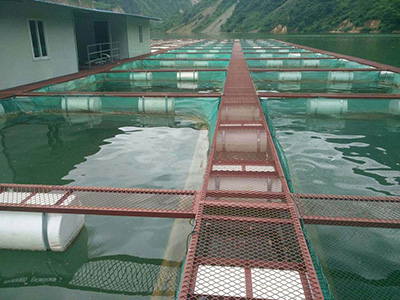 海水养殖网图片4 海水养殖网图片4